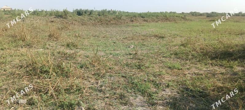 taze bazaryn arkasy mellek yer - Мары - img 5