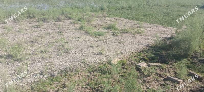 taze bazaryn arkasy mellek yer - Мары - img 4