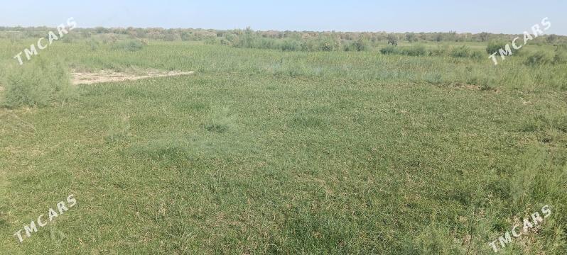 taze bazaryn arkasy mellek yer - Мары - img 7