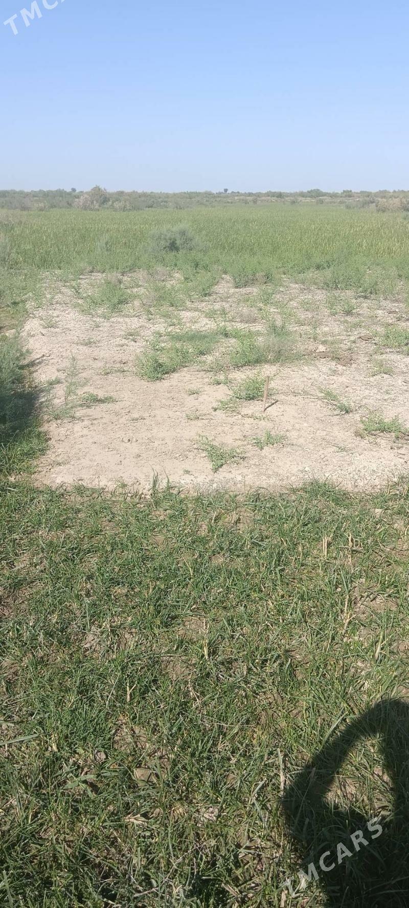 taze bazaryn arkasy mellek yer - Мары - img 9