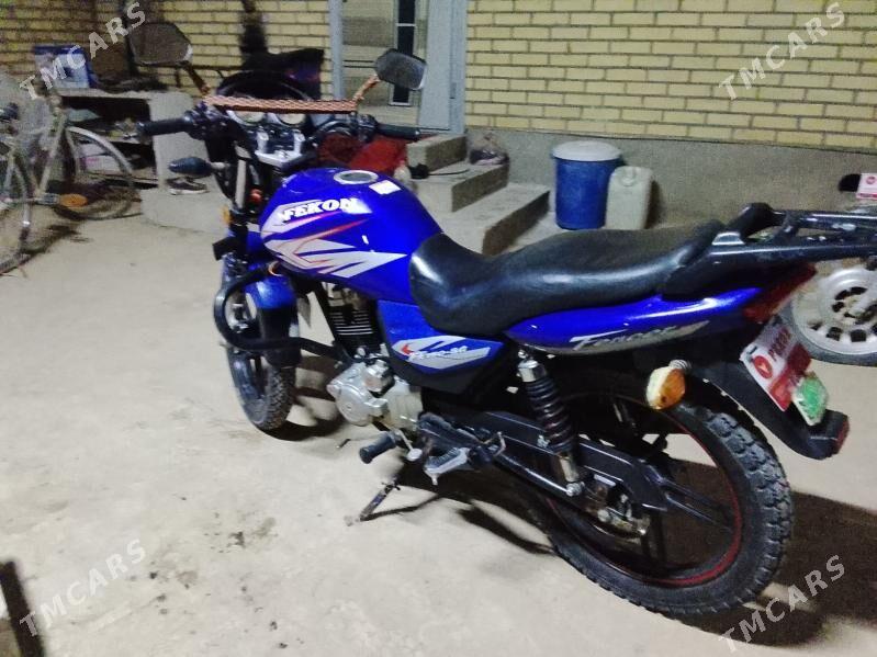 Fekon FK200-14G 2024 - 14 000 TMT - Гарабекевюл - img 2