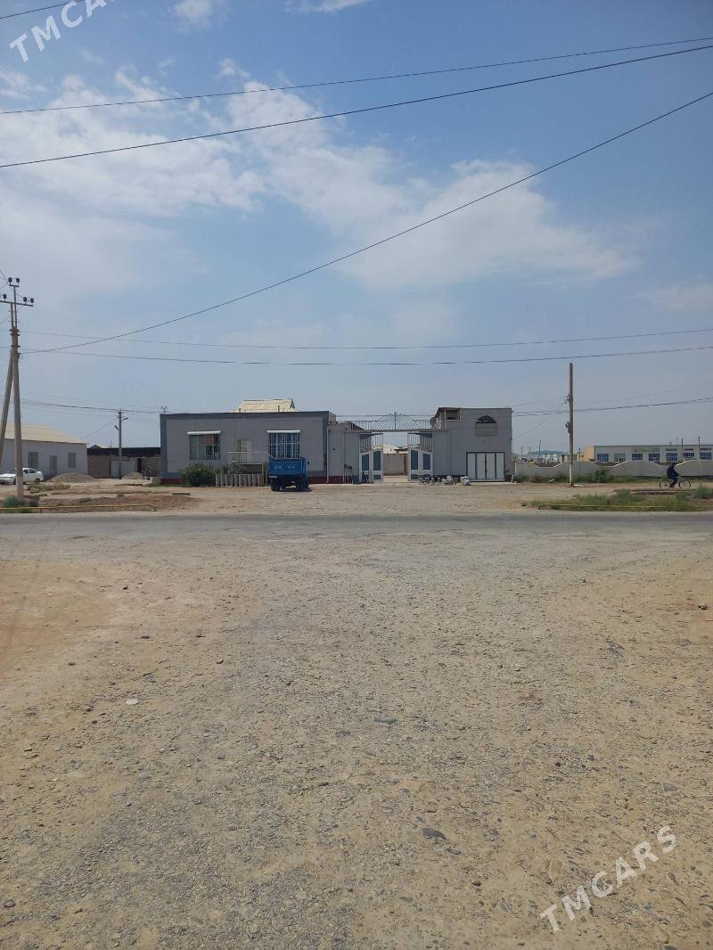 Arenda boş Howly - Теджен - img 1