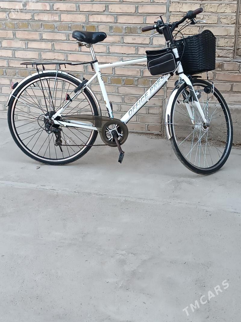 Welik 28 - Mary - img 3