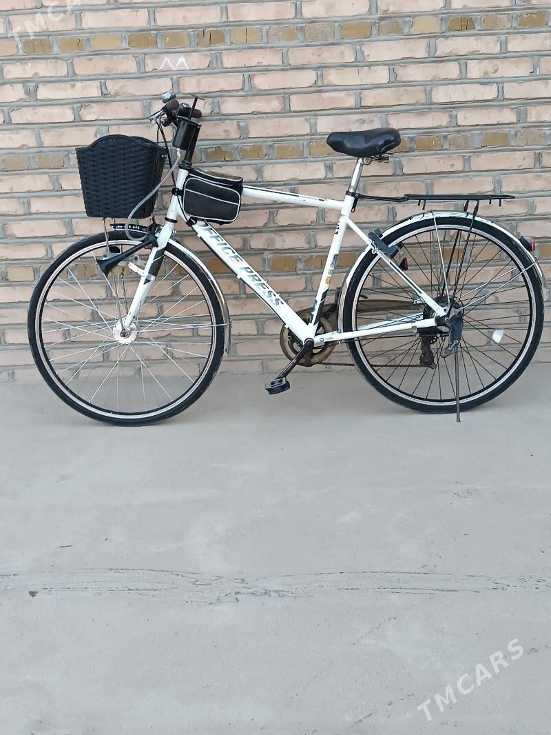 Welik 28 - Mary - img 4