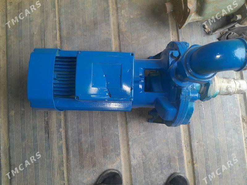 Diwigitil - Gyzylarbat - img 2