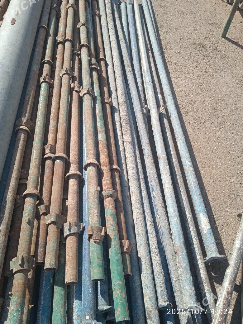 isgele - Ak bugdaý etraby - img 3