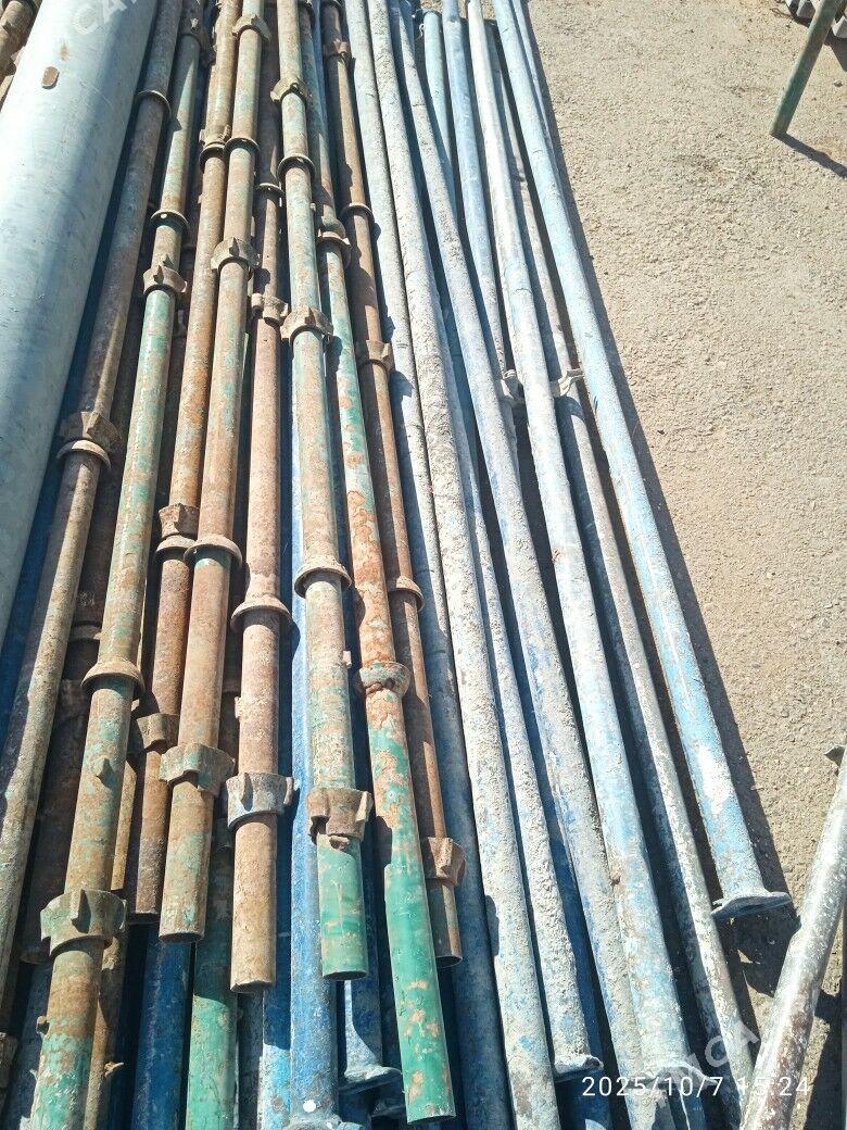 isgele - Ak bugdaý etraby - img 2