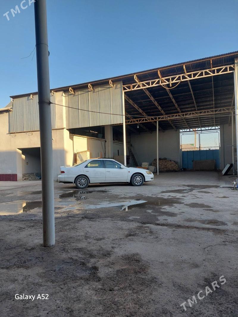 Arenda boş Howly - Теджен - img 2