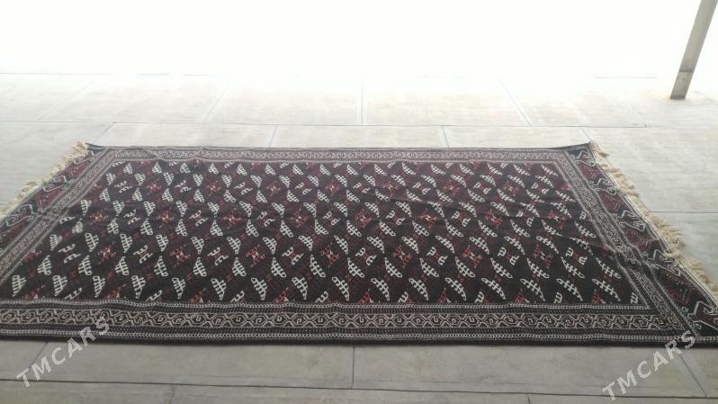 haly - Balkanabat - img 2