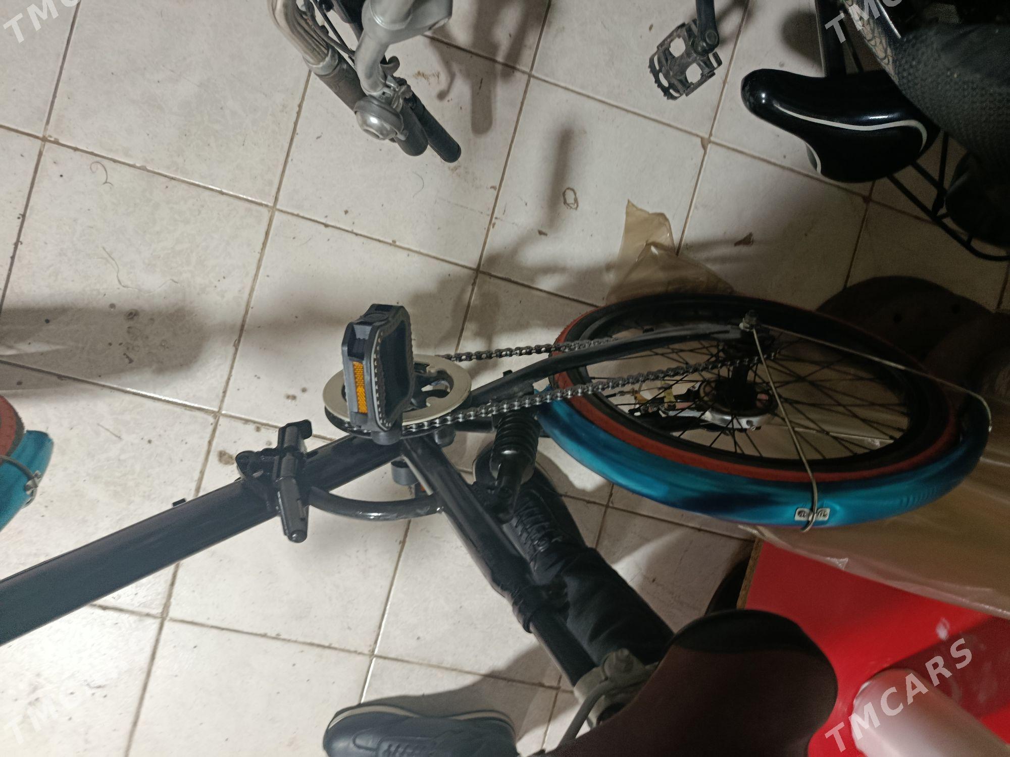 welik - Mary - img 2