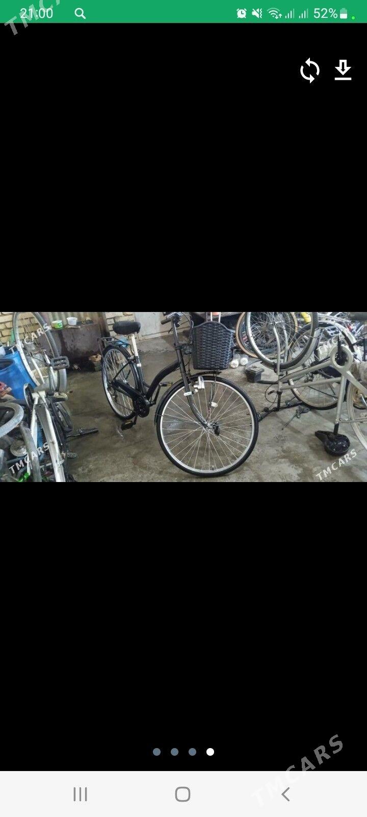 welsopet - Мары - img 3