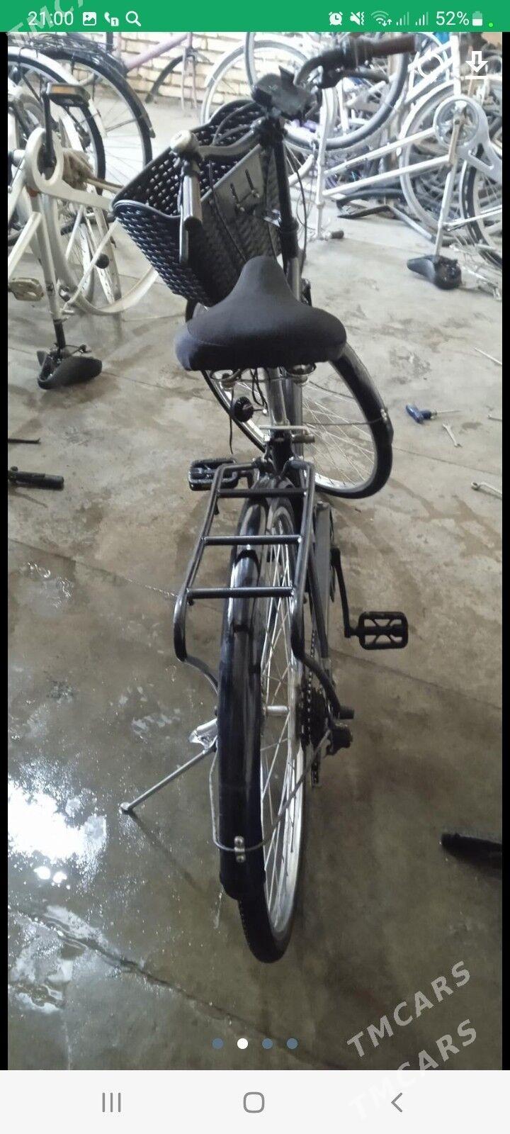 welsopet - Мары - img 4