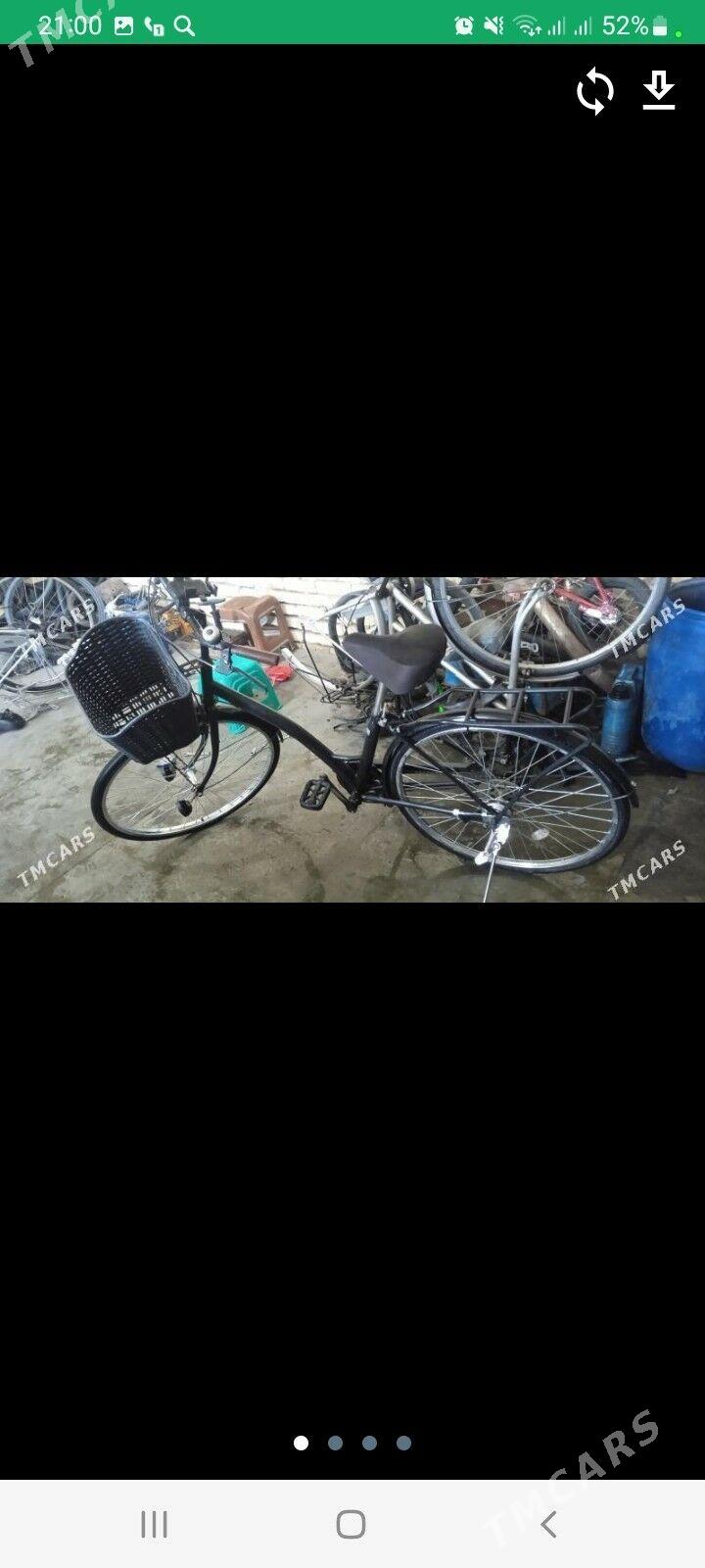 welsopet - Мары - img 2