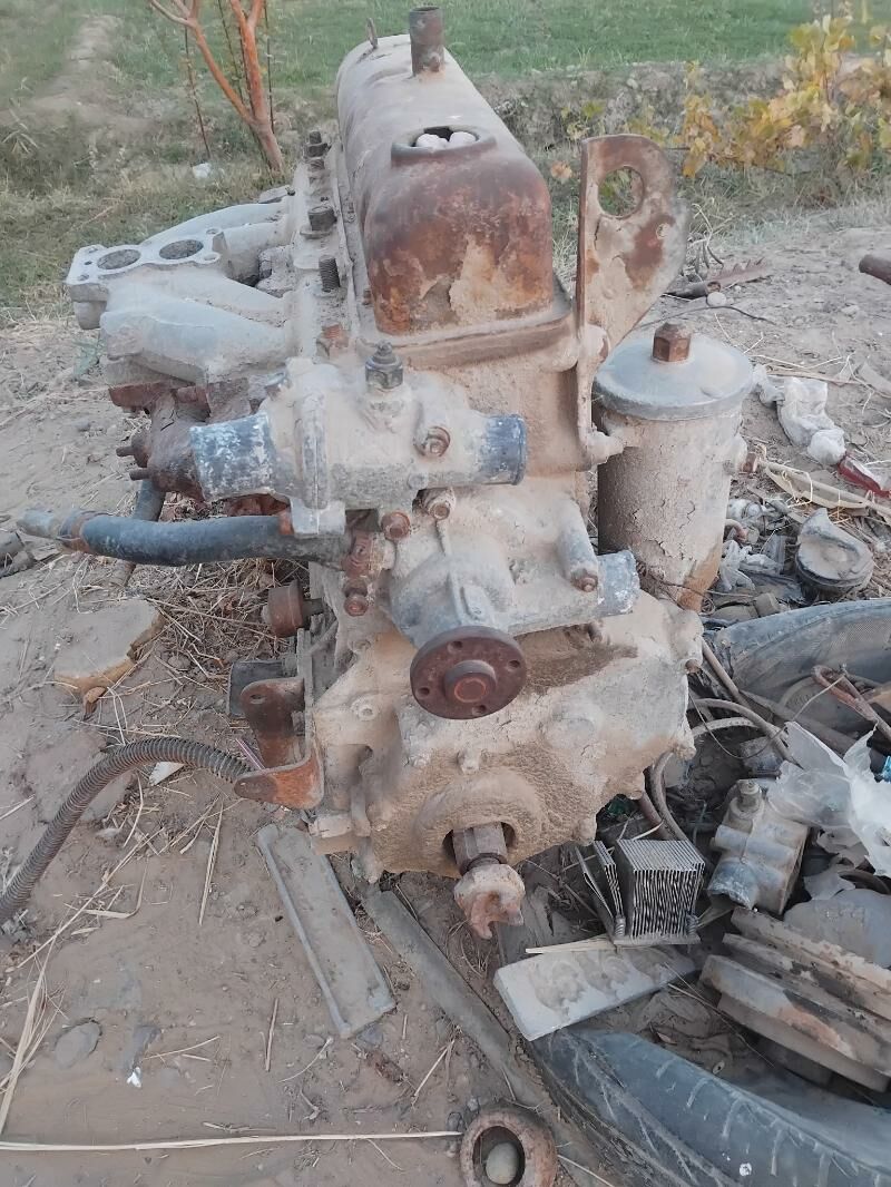 diwitil 31 10 2 200 TMT - Мары - img 2