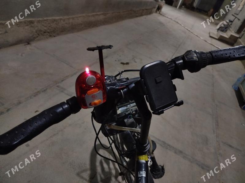 Welik - Mary - img 3