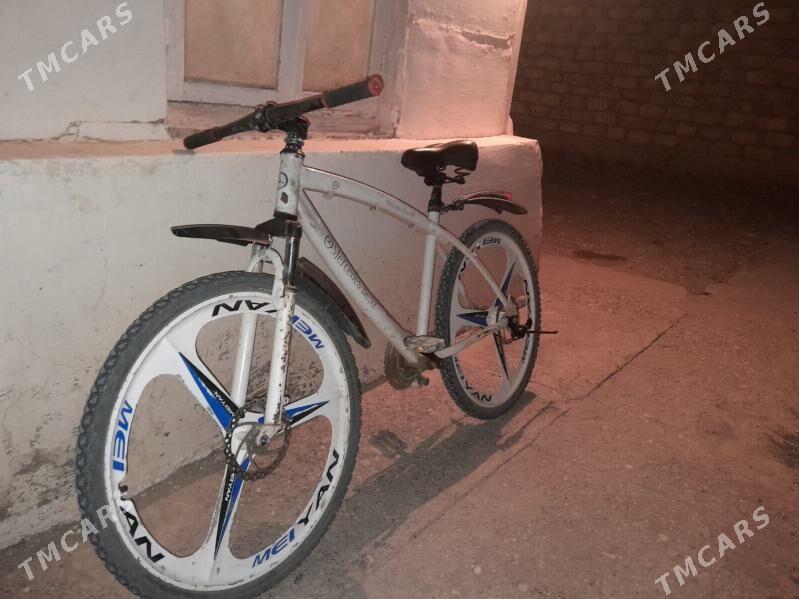 wellik - Гумдаг - img 2