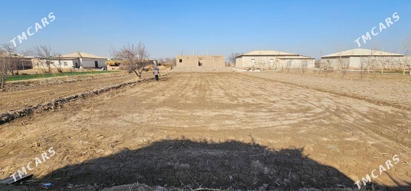 satlyk jay - Gurbansoltan Eje - img 3