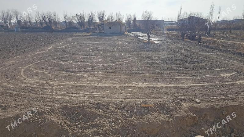 satlyk jay - Gurbansoltan Eje - img 4