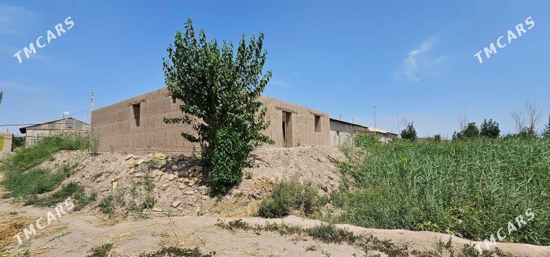 satlyk jay - Gurbansoltan Eje - img 7