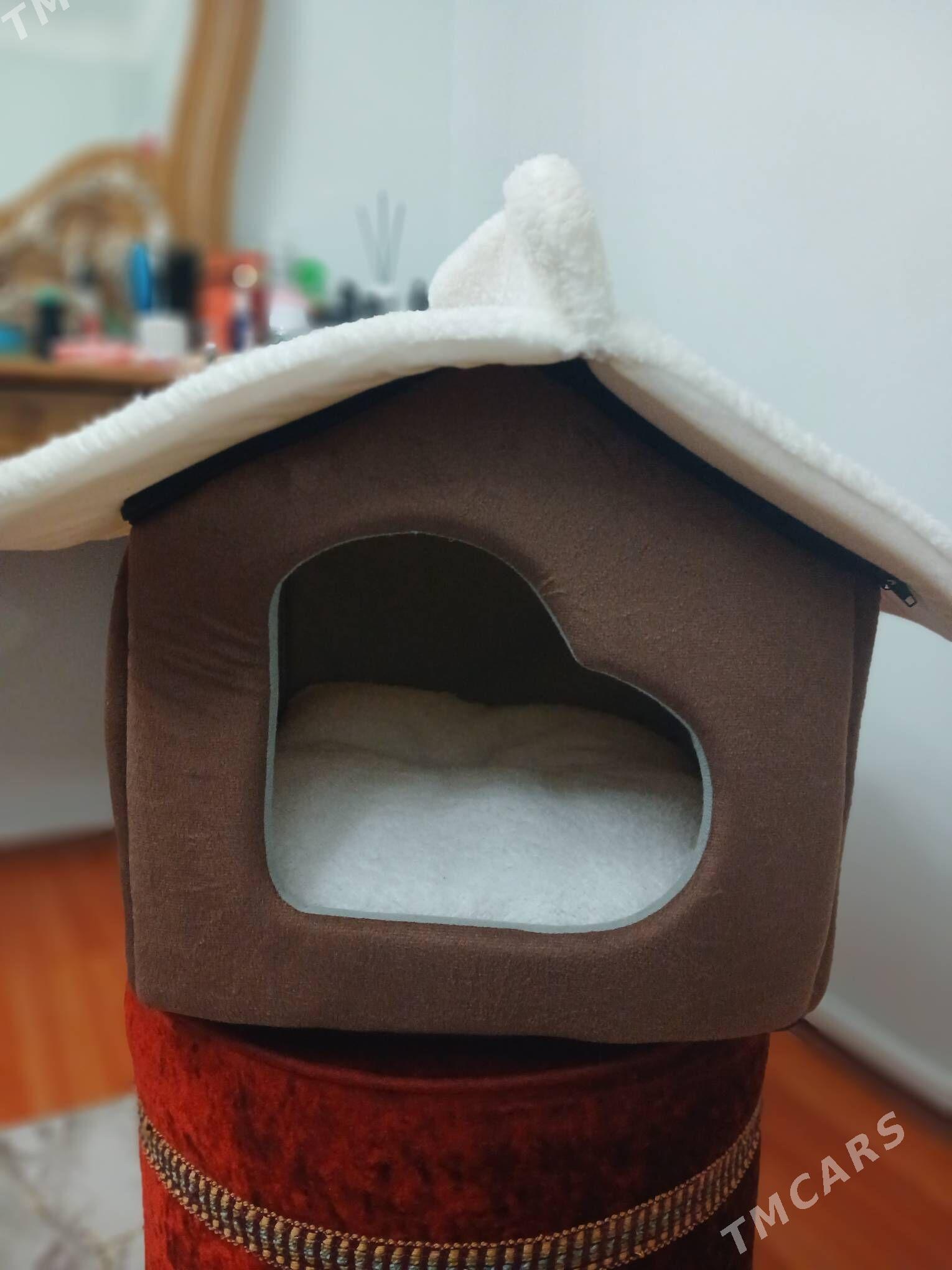 pishigin jayy - Мир 3 - img 3