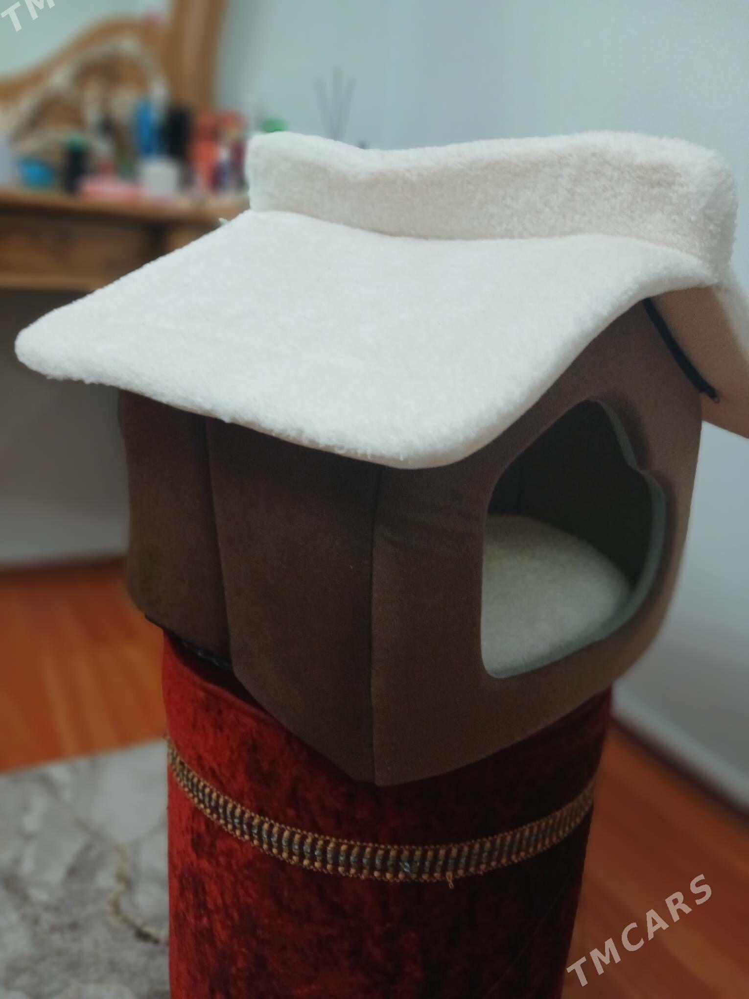 pishigin jayy - Мир 3 - img 2