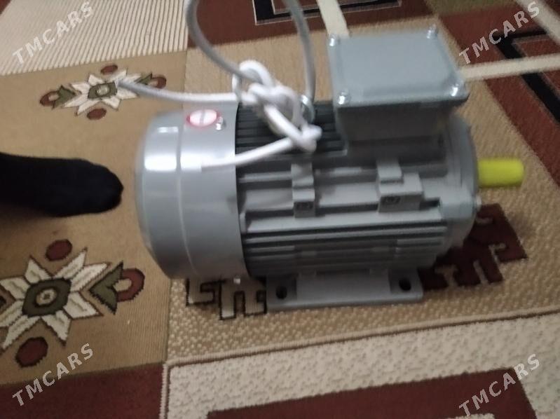 dwigtil - Türkmenbaşy - img 6