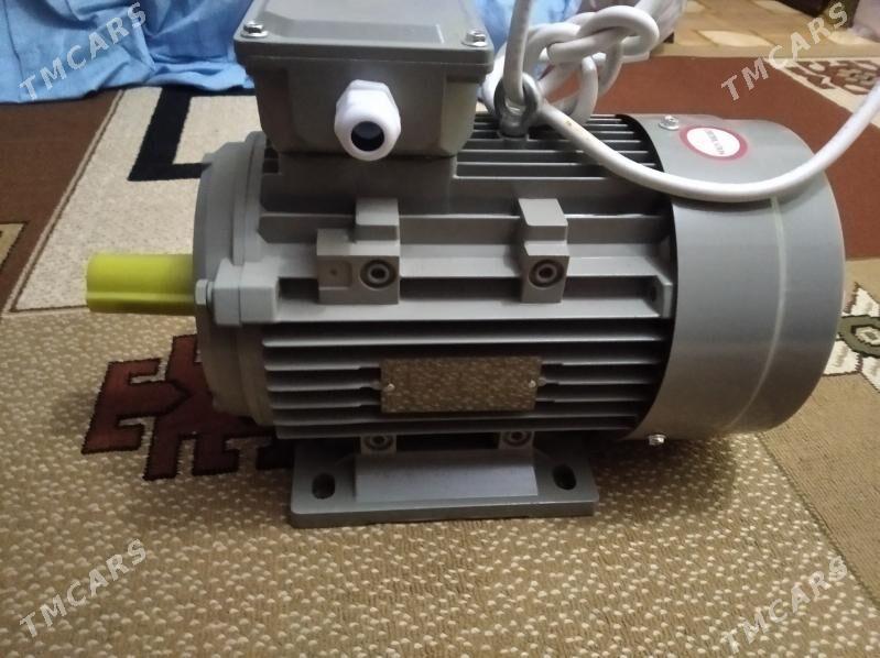 dwigtil - Türkmenbaşy - img 3