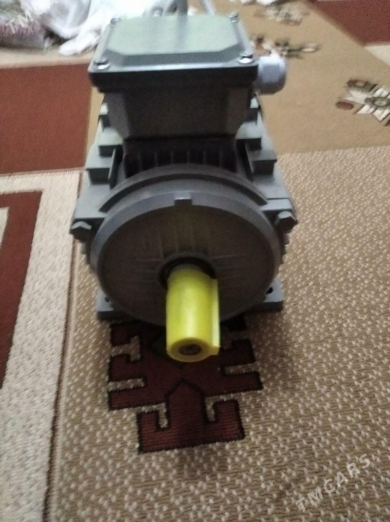 dwigtil - Türkmenbaşy - img 5