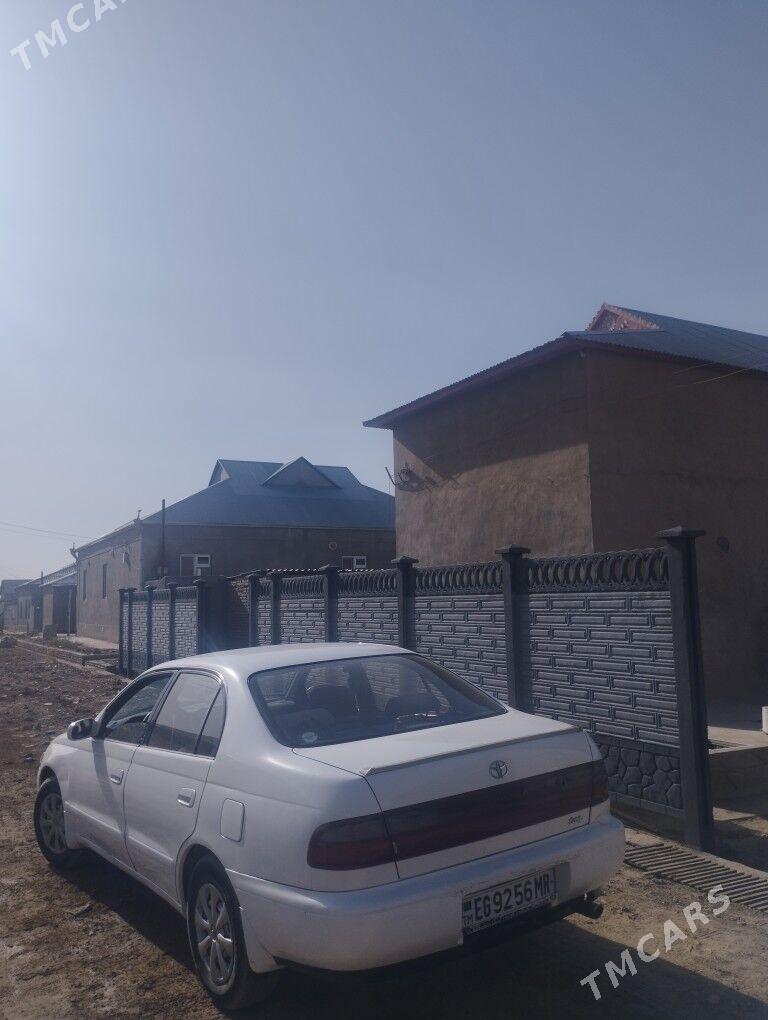 beton zaborlar (hayat) - Байрамали - img 7