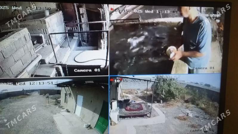 IŞLÄP DURAN BIZNES - Bäherden - img 6