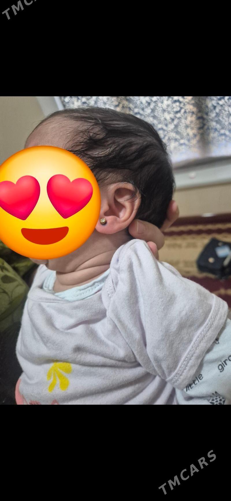 gulak desyan - Aşgabat - img 2