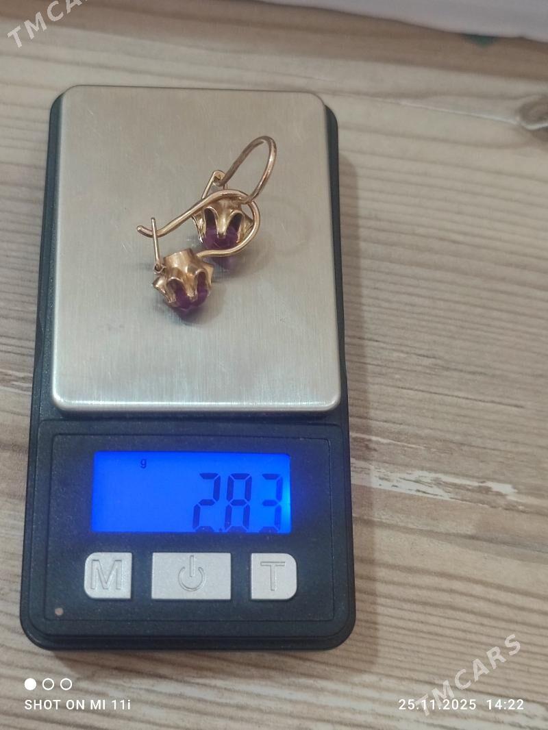 gyzyl gulakhalka rosiskiy - Aşgabat - img 2