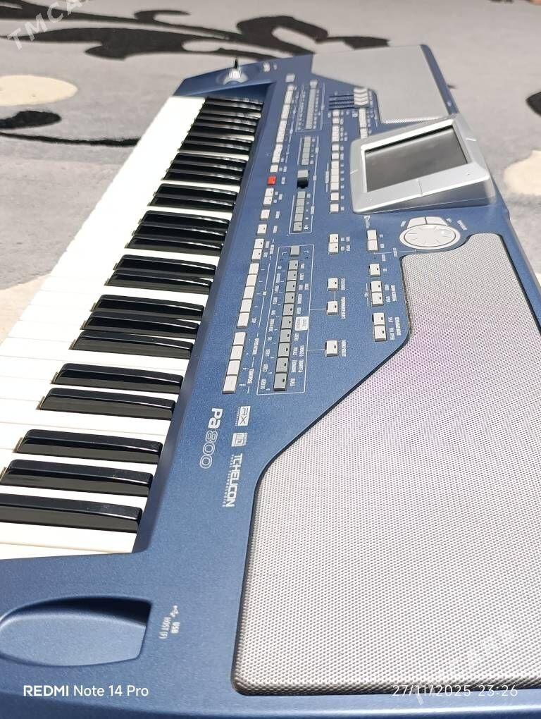 Korg Pa800 ver:2.3 RAM256 - Бузмеин - img 1