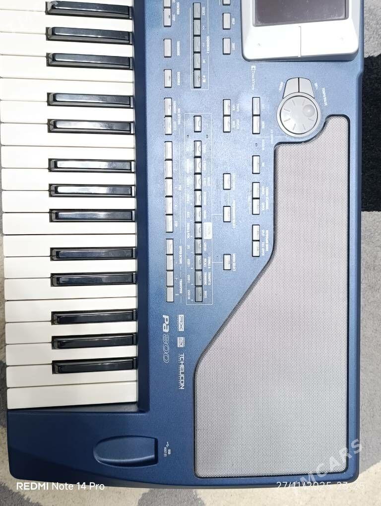 Korg Pa800 ver:2.3 RAM256 - Бузмеин - img 4