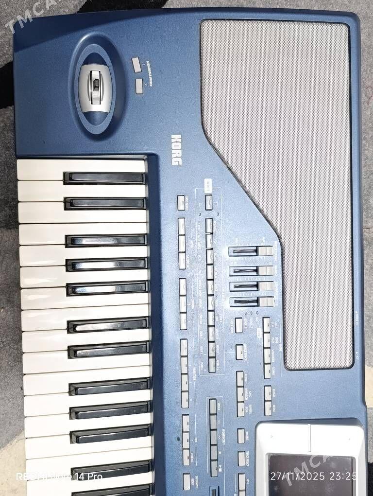 Korg Pa800 ver:2.3 RAM256 - Бузмеин - img 6