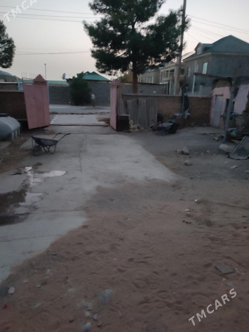 Taze Gâmi yarty yer - Ak bugdaý etraby - img 6