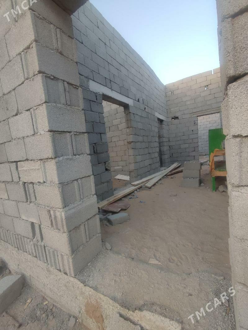 Taze Gâmi yarty yer - Ak bugdaý etraby - img 2