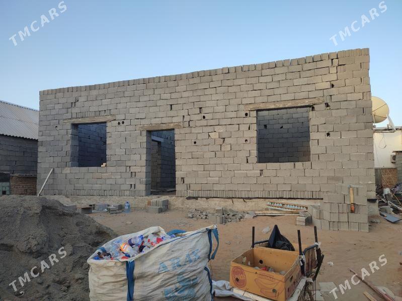 Taze Gâmi yarty yer - Ak bugdaý etraby - img 3