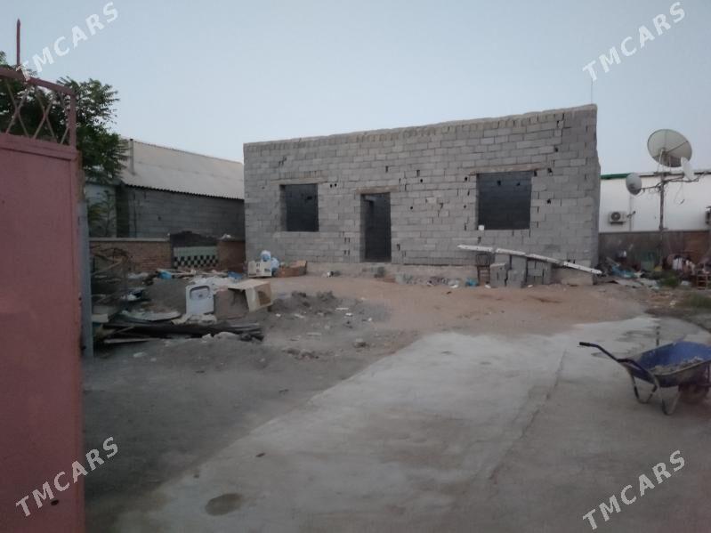 Taze Gâmi yarty yer - Ak bugdaý etraby - img 8