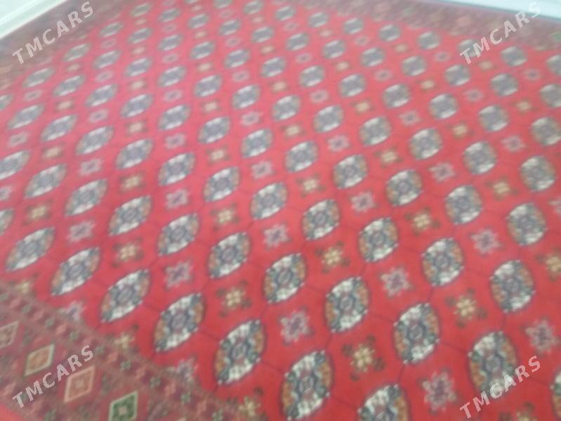 haly - Jebel - img 2