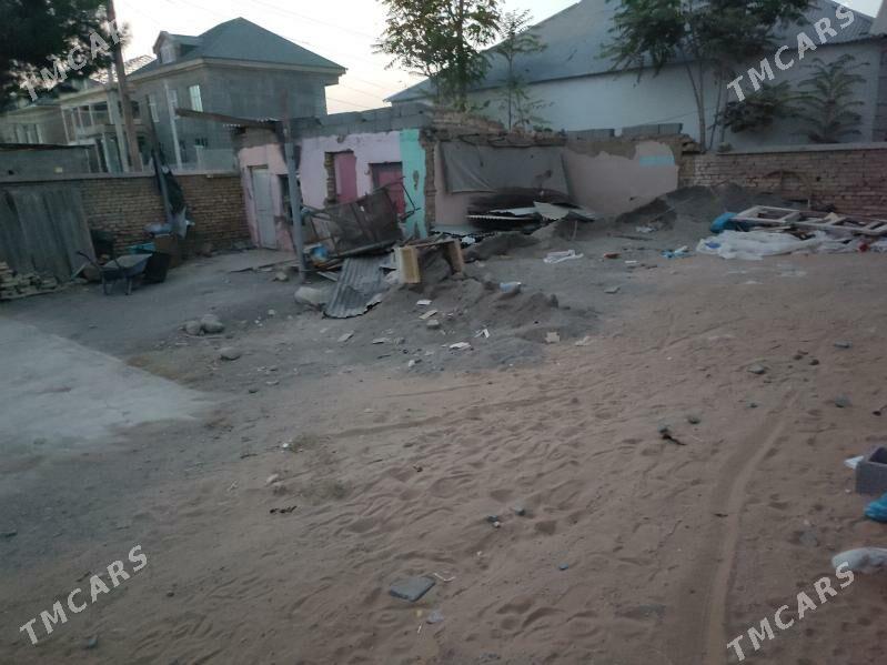 Taze Gâmi yarty yer - Ak bugdaý etraby - img 5