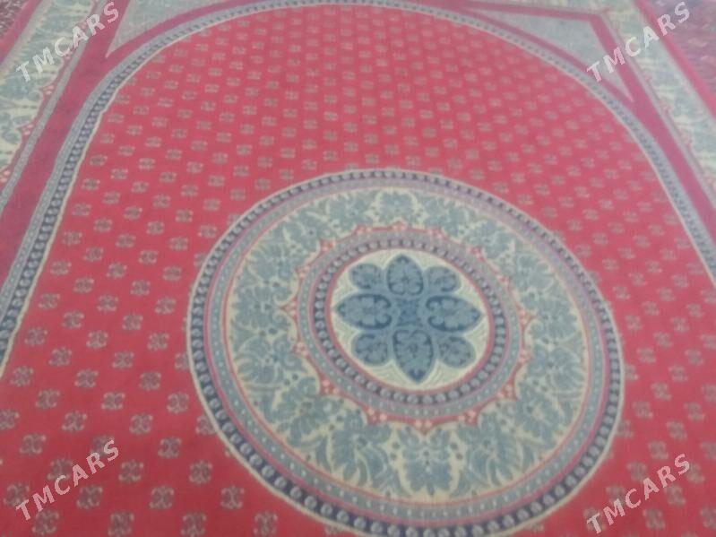 haly - Jebel - img 2