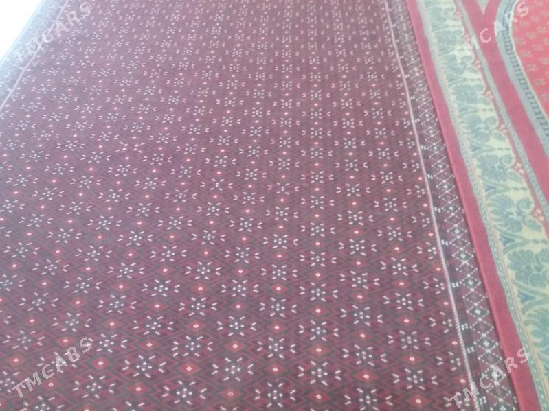 palas - Джебел - img 3