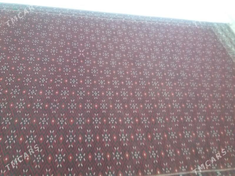 palas - Джебел - img 2