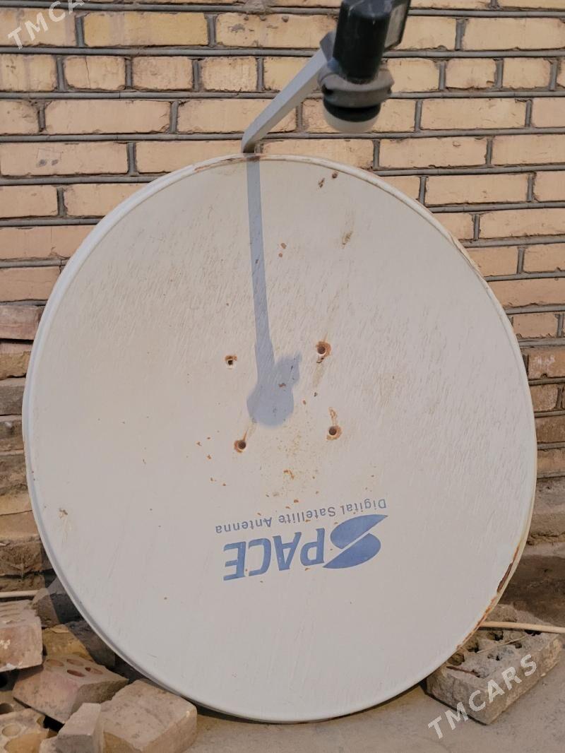 Kici turk antena - Векильбазар - img 2