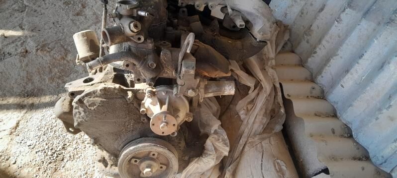 diwigatel 600 TMT - Мары - img 2