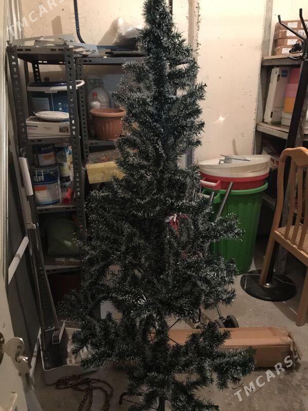 ёлка - Aşgabat - img 2