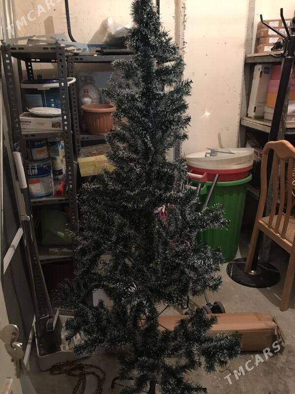 ёлка - Aşgabat - img 1