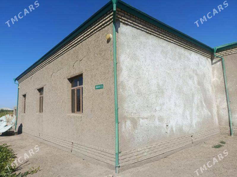 satlyk jay gorogly - Гороглы (Тагта) - img 2