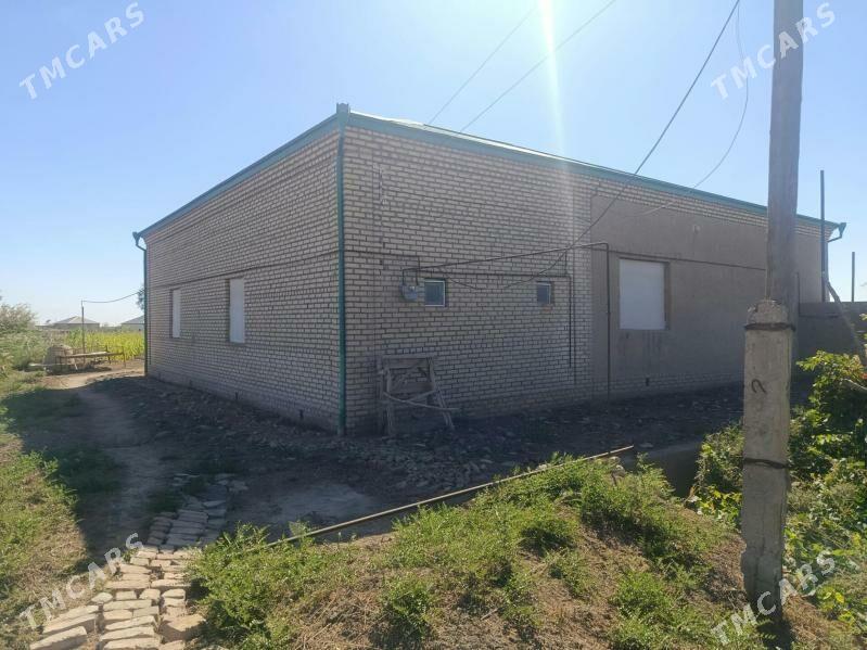 satlyk jay gorogly - Гороглы (Тагта) - img 3